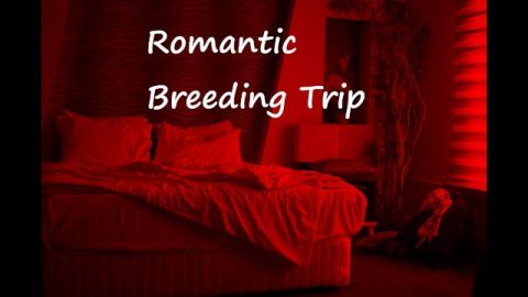 Romantic Breeding Trip ~ 💖